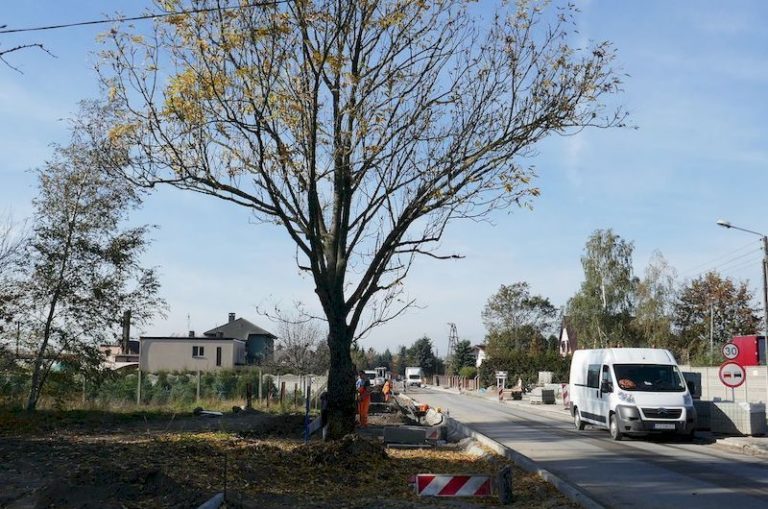 Przebudowa pasa drogowego w zakresie jezdni, chodników i ścieżki rowerowej na ulicy Dworcowej w Golęczewie, Chludowie oraz Zielątkowie