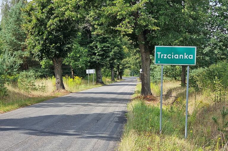 Droga powiatowa nr 1331P Trzcianka-Biała